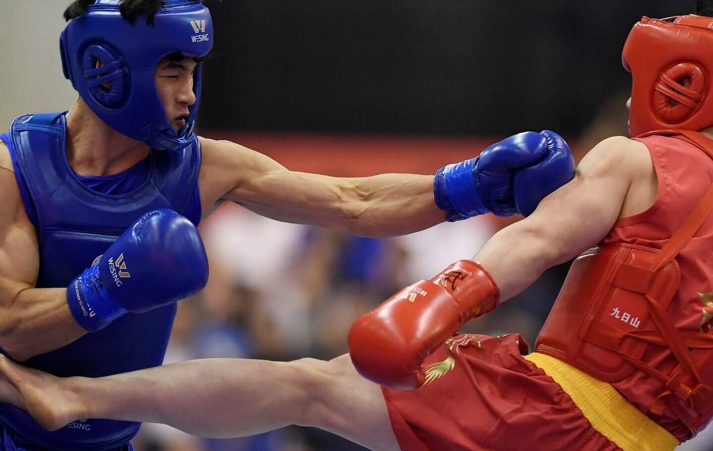 Talent Sports League Wushu